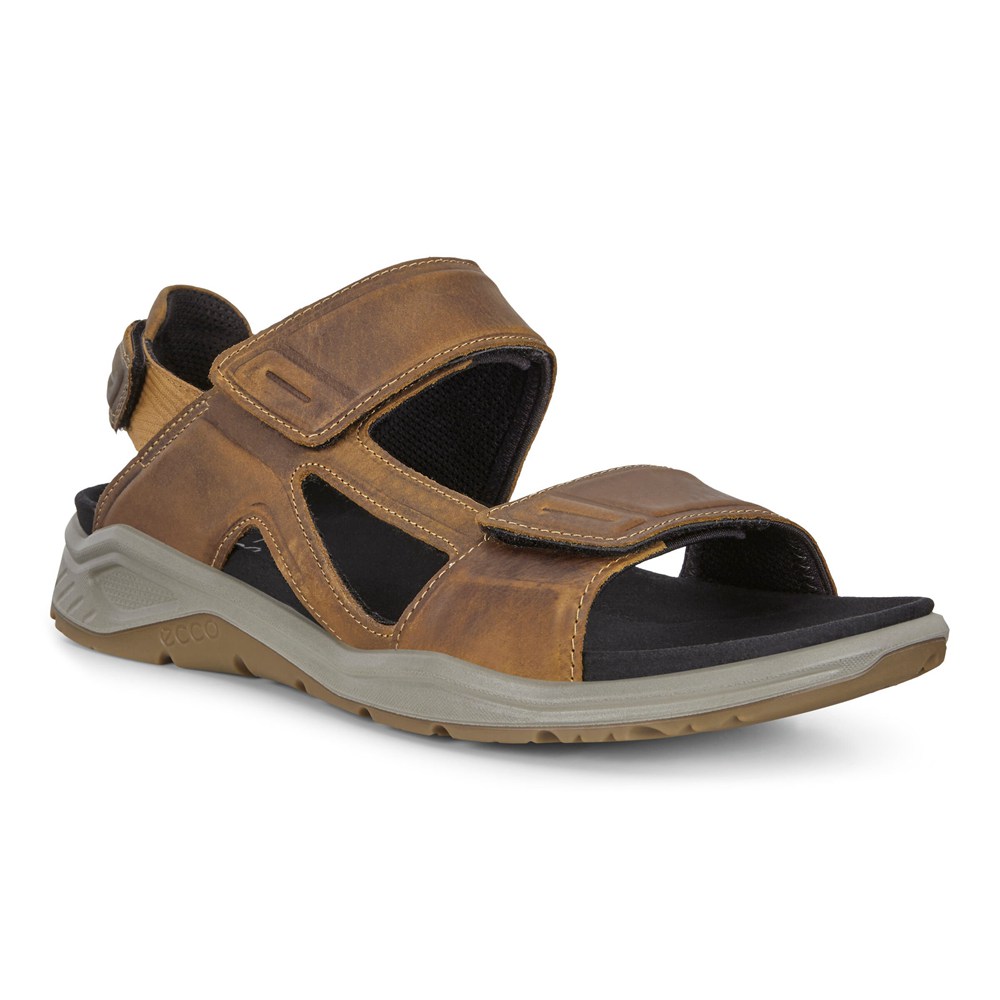 Sandalias Hombre - ECCO X-Trinsic Flat - Marrom - AGM452138